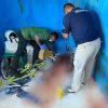 Pria 19 Tahun di Belu Tikam Pria 51 Tahun Diduga Pacar Ibunya Dalam Kamar Kost